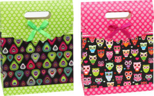 231713-EC Vrećica M svakodnevna preklopna mat 17,8x22,9x9,8cm 75277 P12/288 NETTO