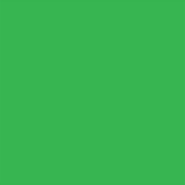 232518-EC Papir hamer B1 220gr.int. tamno zeleni GREEN 10/1 HW700 P10