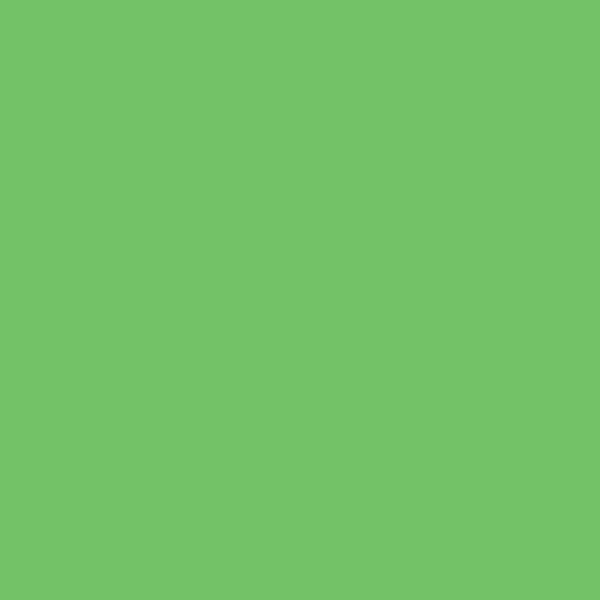 232520-EC Papir hamer B1 220gr.int. svijetlo zeleni GREEN 10/1 HW640 P10