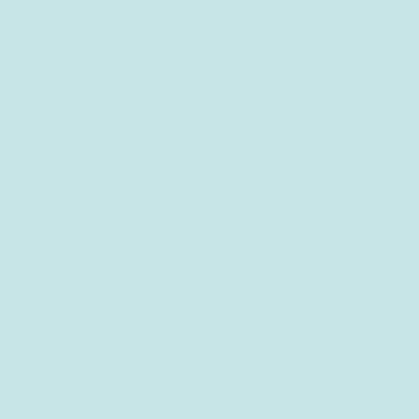 232522-EC Papir hamer B1 220gr.pastel plavi BLUE 10/1 HW510 P10
