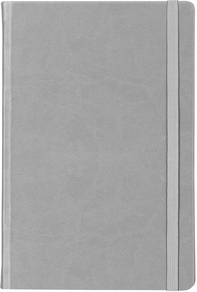 233675-EC Notes MODEST A5 14x21 sivi 991.027.80 P1/20