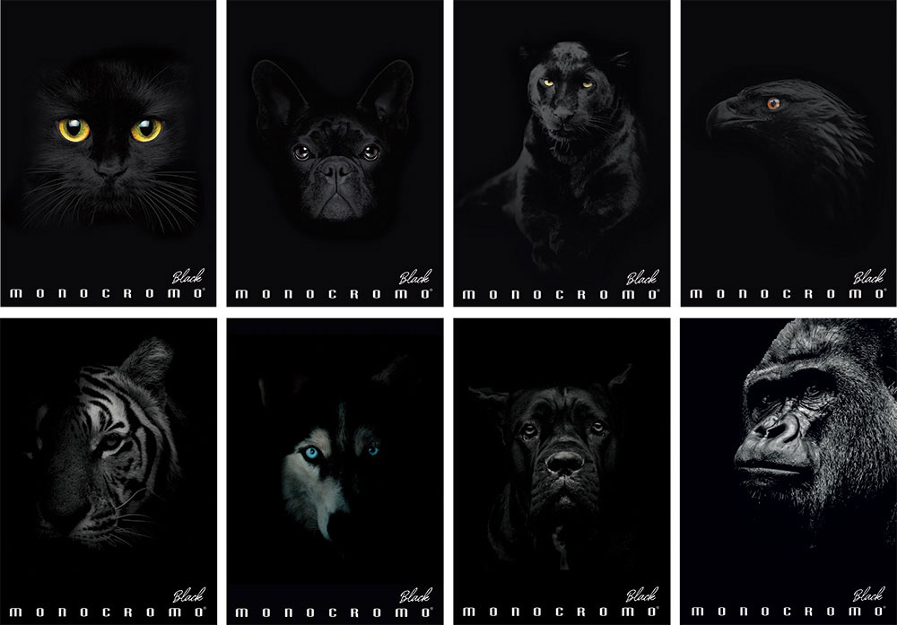 235048-EC Bilježnica A4/K Pigna Monocromo Black P10/60 NETTO