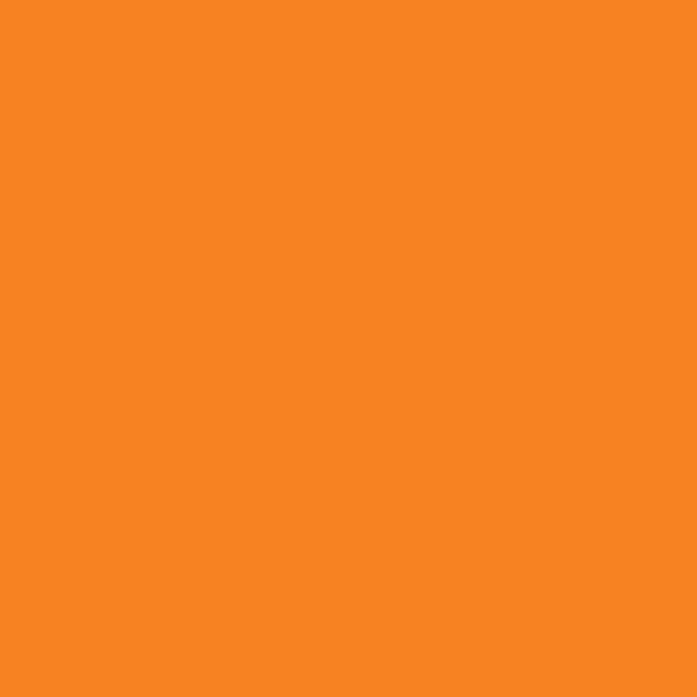 235524-EC Papir hamer B1 220gr.int. narančasti ORANGE 10/1 HW650 P10