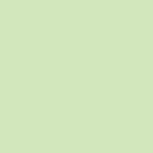 235526-EC Papir hamer B1 220gr.pastel zeleni LIGHT GREEN 10/1 HW520 P10