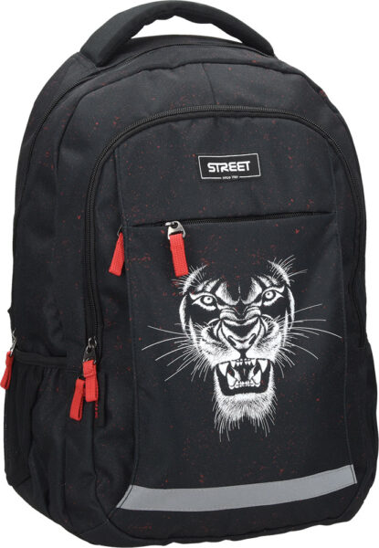 239566-EC Ruksak STREET ALFA Lion 530798 P10 NETTO