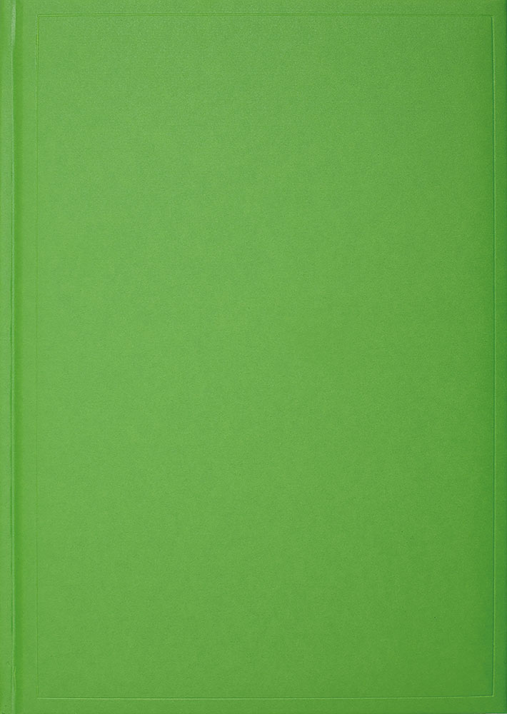 240098-EC Notes ISLAND B5 16,5x23,5 kiwi zeleni 991.017.51 P20