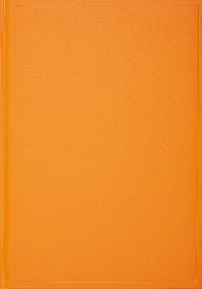 240099-EC Notes ISLAND B5 16,5x23,5 narančasti 991.017.60 P20