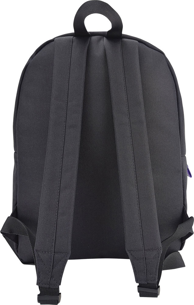240133-EC Ruksak Karbon 2 ZIP GREY GIRL P20 NETTO