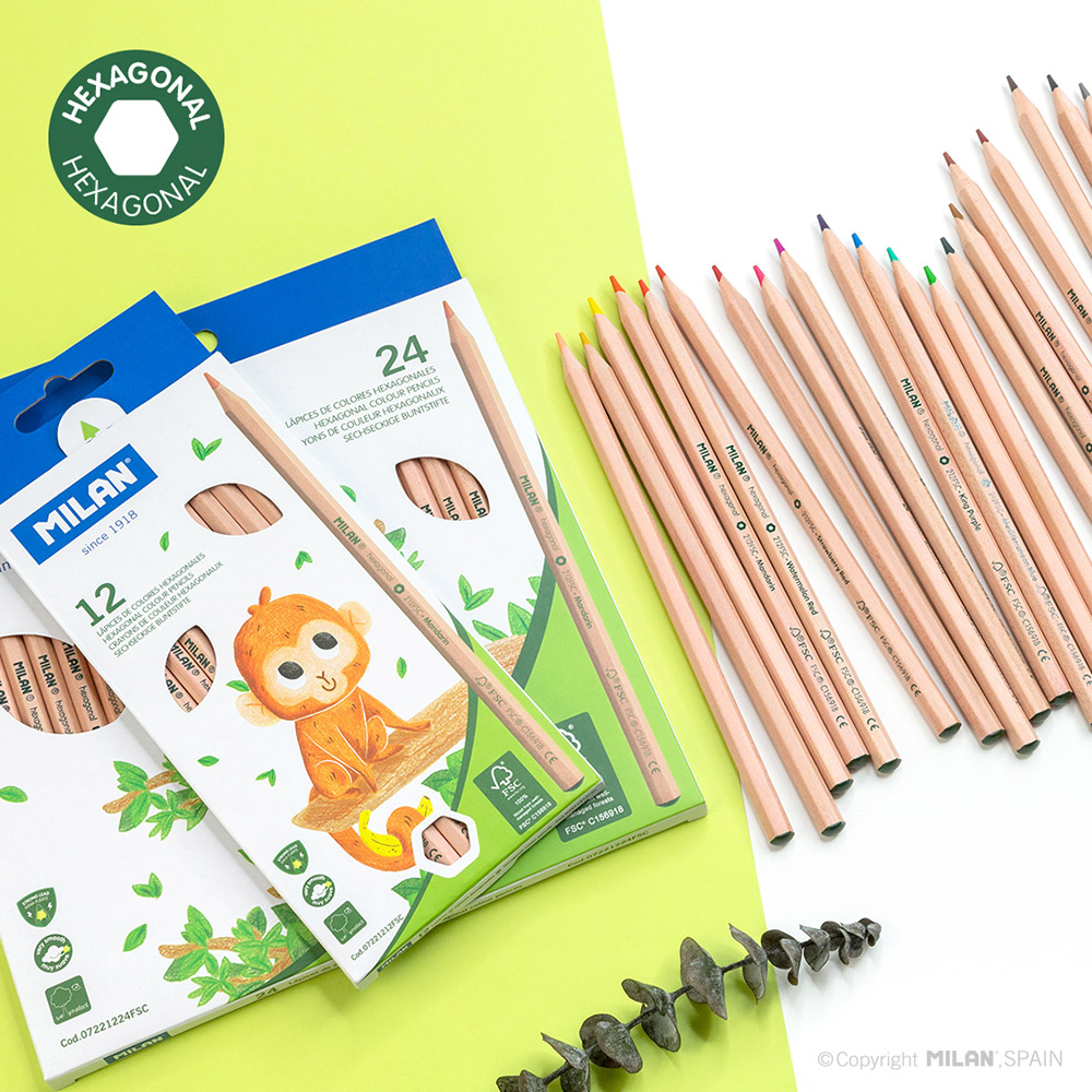 241317-EC Boje drvene 12/1 duge MILAN FSC karton bls P12/96