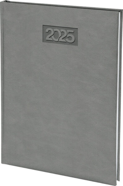 245348-EC Dnevnik PALERMO B5 16,5x22,5cm sivi 2025 P20