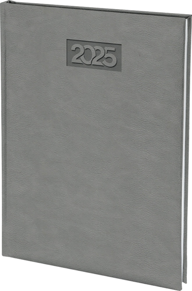 245348-EC Dnevnik PALERMO B5 16,5x22,5cm sivi 2025 P20