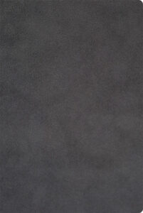 245355-EC Notes NUBUCK ECO A5 14x21 sivi 991.037.11 P20