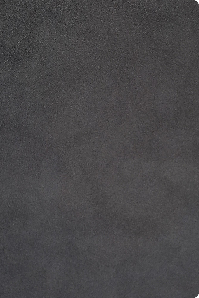 245355-EC Notes NUBUCK ECO A5 14x21 sivi 991.037.11 P20