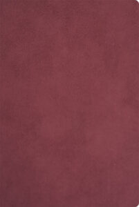 245358-EC Notes NUBUCK ECO A5 14x21 bordo 991.037.33 P20