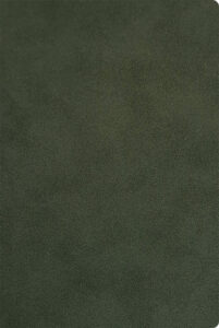 245359-EC Notes NUBUCK ECO A5 14x21 zeleni 991.037.50 P20