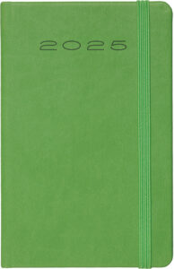 245379-EC Dnevnik MEDINA II planer A6 9x14cm kiwi zeleni 994.356.51 P20 2025