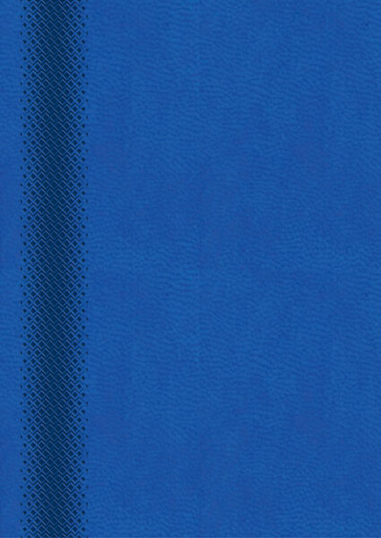 245389-EC Dnevnik MILANO 2025 plavi royal 16,5x23,5 P20